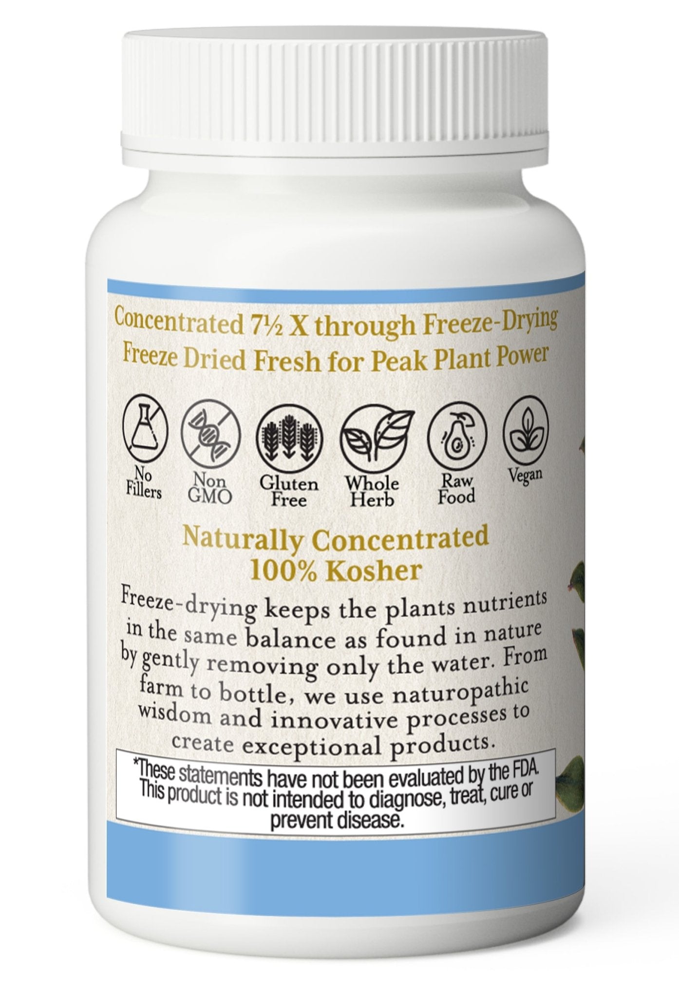 BILBERRY CAPSULES - Tree Spirit Wellness