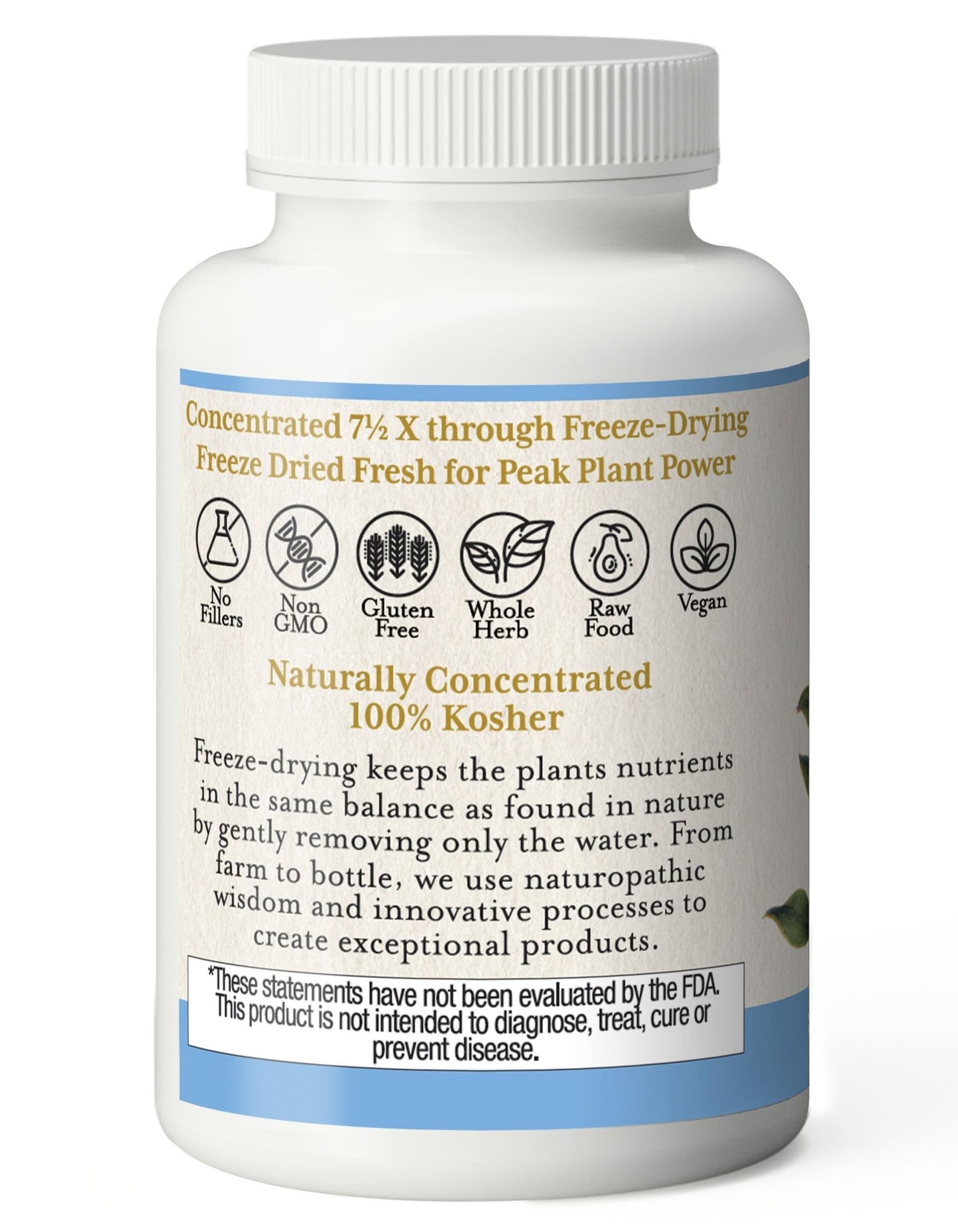 BILBERRY CAPSULES - Tree Spirit Wellness