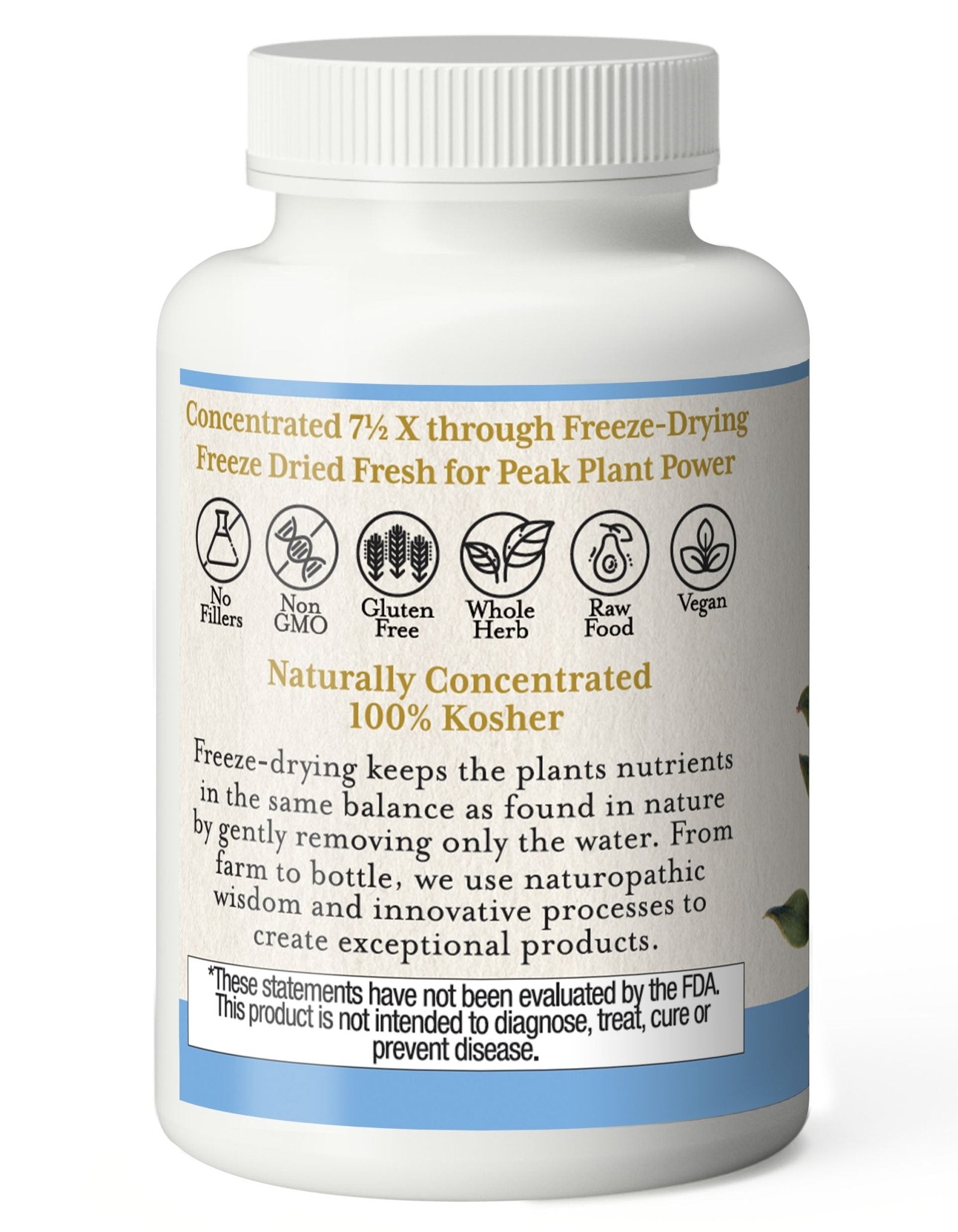 BILBERRY CAPSULES - Tree Spirit Wellness