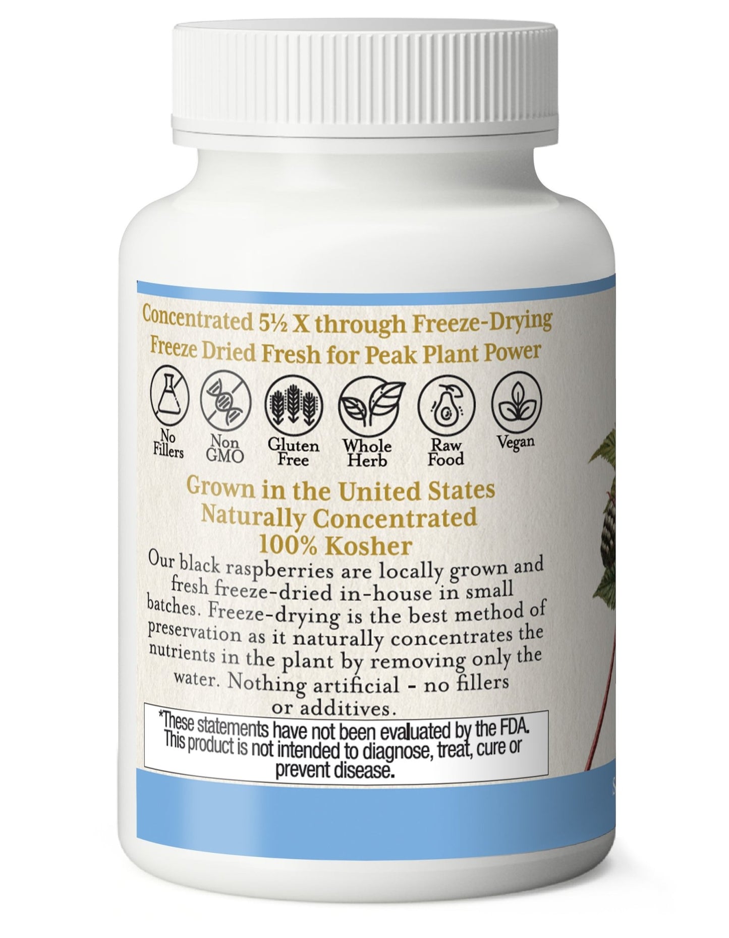 BLACK RASPBERRY CAPSULES - Tree Spirit Wellness