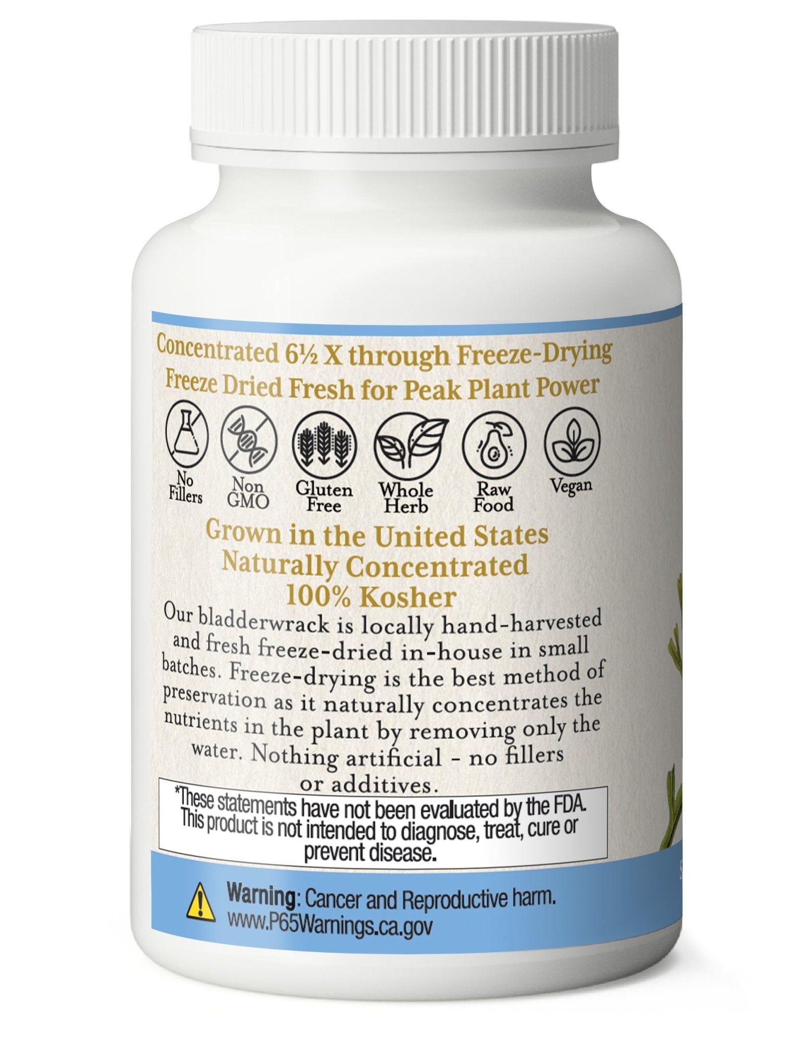 BLADDERWRACK CAPSULES - Tree Spirit Wellness
