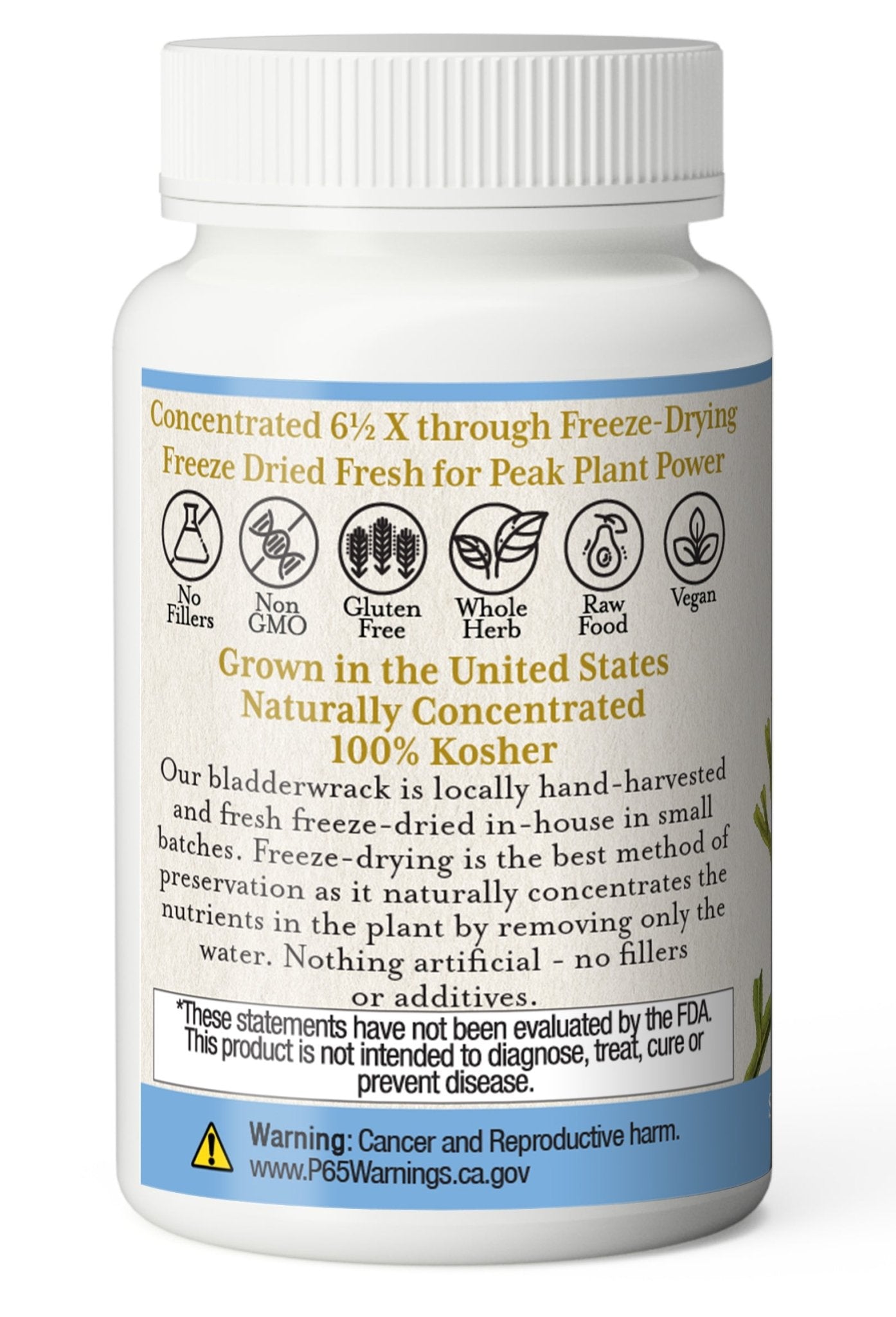 BLADDERWRACK CAPSULES - Tree Spirit Wellness