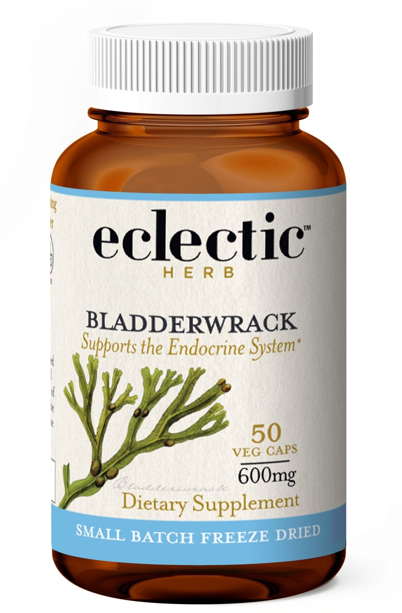 BLADDERWRACK CAPSULES - Tree Spirit Wellness
