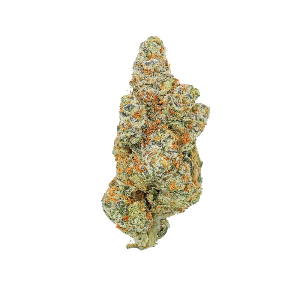 BOUTIQUE White Widow THCA FLOWER - Hybrid (8ct) - Tree Spirit Wellness