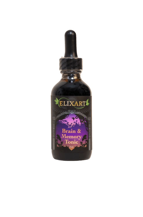 Brain & Memory Tonic - Tree Spirit Wellness