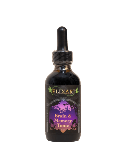 Brain & Memory Tonic - Tree Spirit Wellness