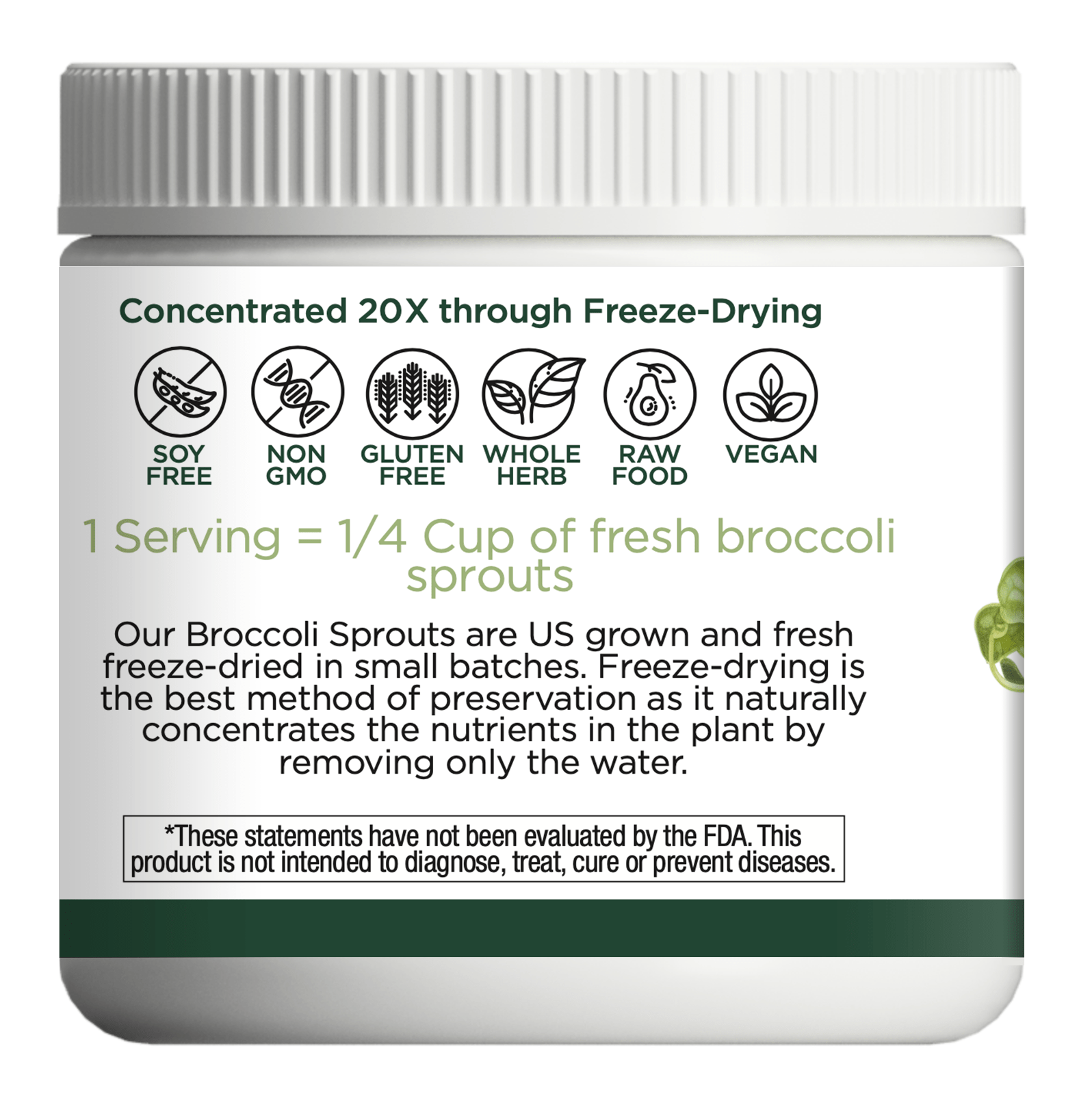 BROCCOLI SPROUTS POWDER - Tree Spirit Wellness