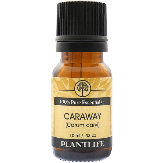 Caraway Essential Oil - Tree Spirit Wellness