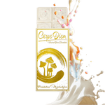 Carpe Diem Chocolate Bar – Pebbles Mostalgia (Box of 6) - Tree Spirit Wellness