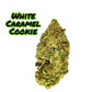 CBD Flower 8 Gram Jar (choose strain) - Tree Spirit Wellness