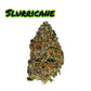 CBD Flower 8 Gram Jar (choose strain) - Tree Spirit Wellness