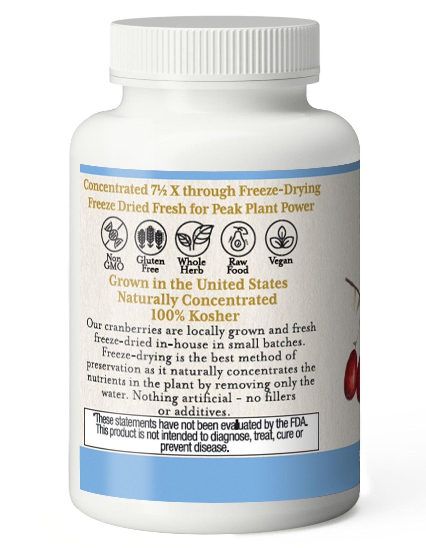 CRANBERRY CAPSULES - Tree Spirit Wellness
