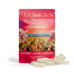Delta 8 15mg+Delta 9 10mg - 20 Cherry Pineapple Gummies - Tree Spirit Wellness