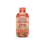 Delta 9 Hemp Syrup - Watermelon 750mg - Tree Spirit Wellness