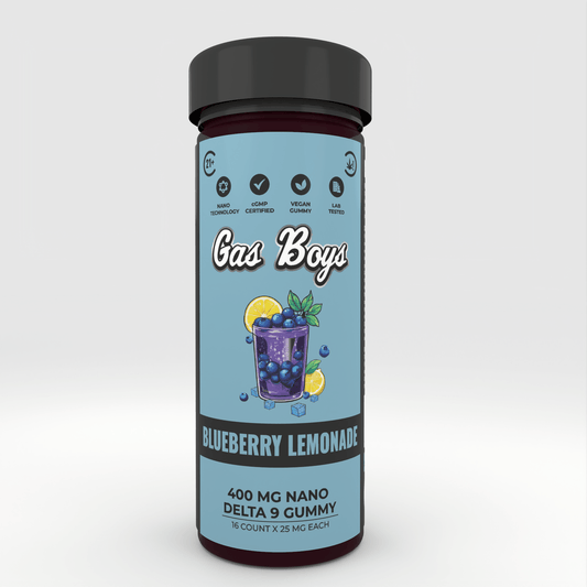 DELTA 9 NANO Gummy - BLUEBERRY LEMONADE 400Mg Jar (16ct) - Tree Spirit Wellness