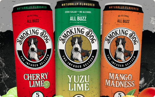 DELTA 9 THC SELTZER 5 MG - 12 Pack - Tree Spirit Wellness