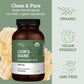 Earth Harmony - Lion's Mane - Tree Spirit Wellness