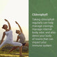Earth Harmony - Liquid Chlorophyll - Tree Spirit Wellness