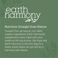 Earth Harmony - Liquid Chlorophyll - Tree Spirit Wellness