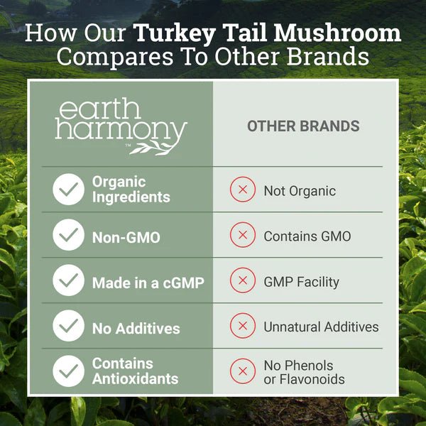 Earth Harmony - Turkey Tail - Tree Spirit Wellness