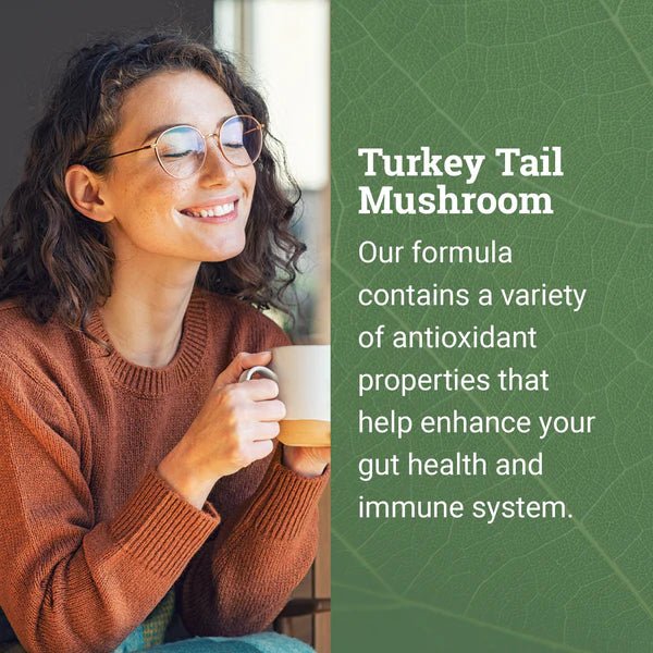 Earth Harmony - Turkey Tail - Tree Spirit Wellness