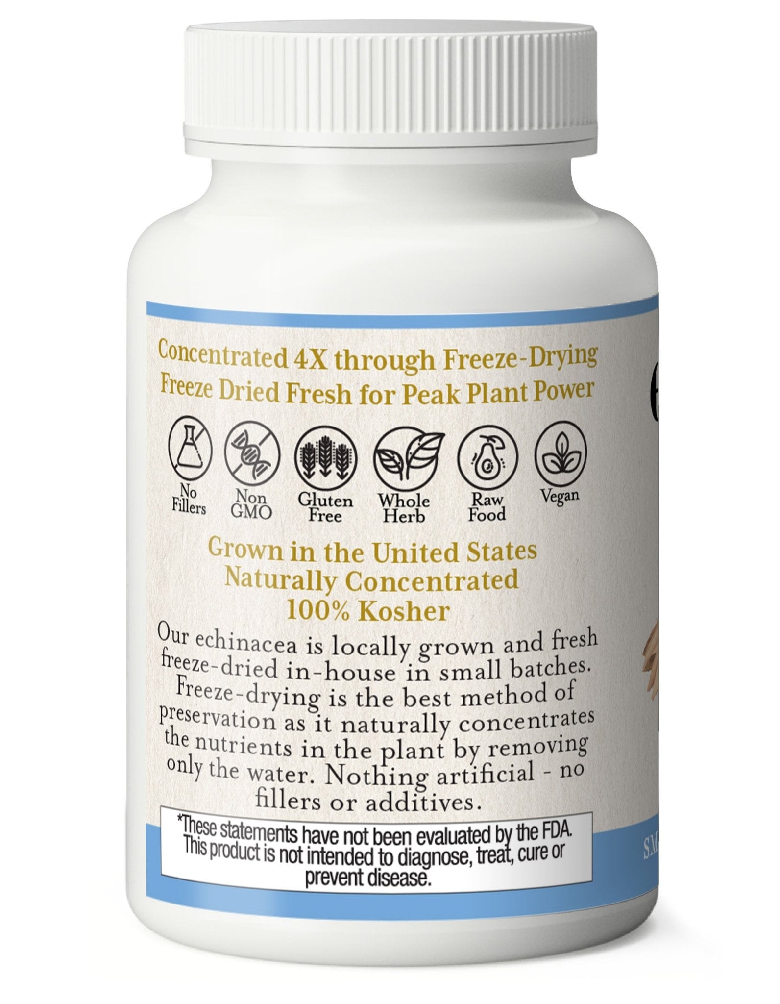 ECHINACEA ANGUSTIFOLIA CAPSULES - Tree Spirit Wellness