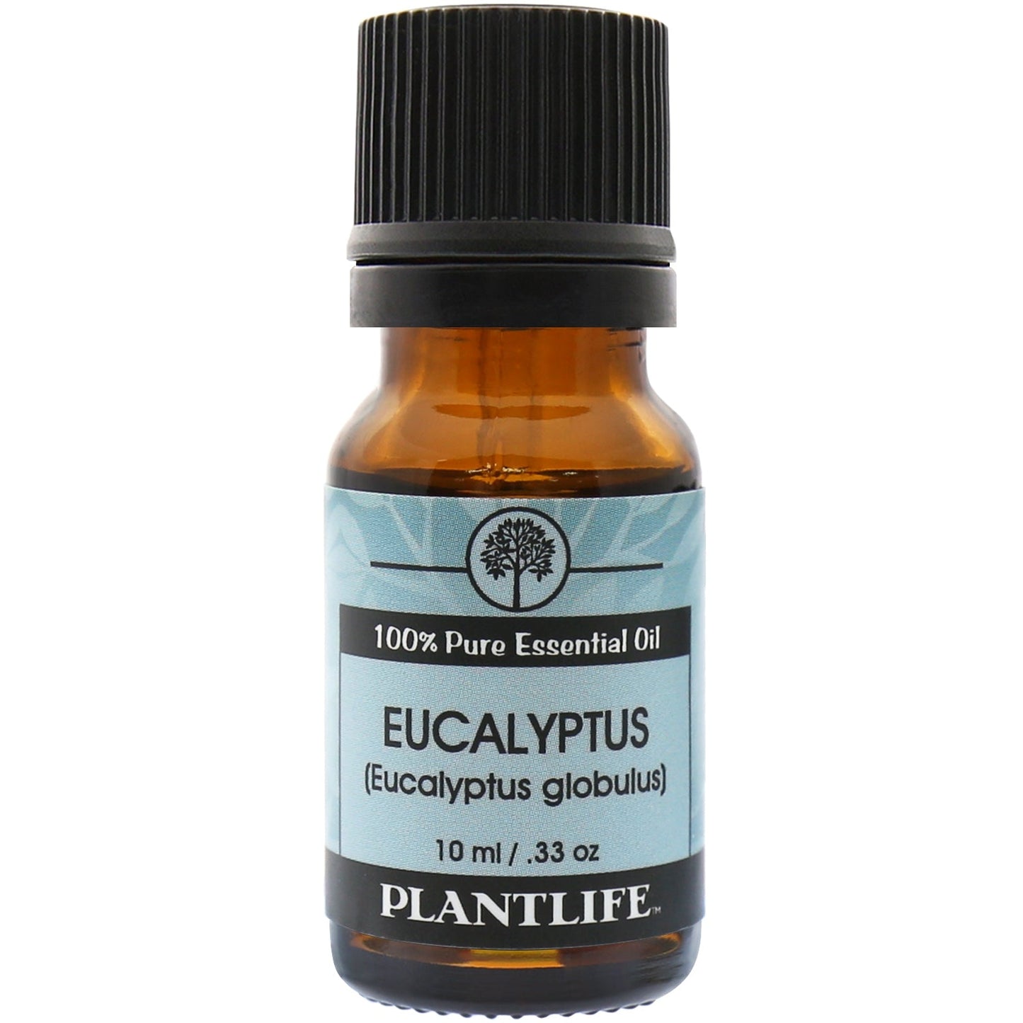 Eucalyptus Essential Oil - Tree Spirit Wellness