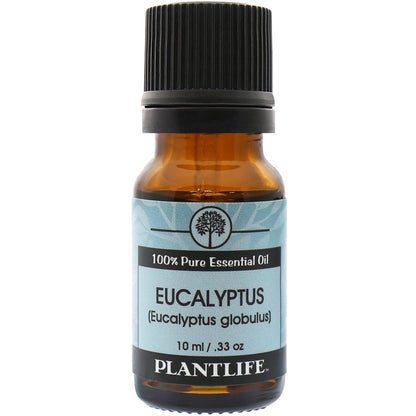 Eucalyptus Essential Oil - Tree Spirit Wellness