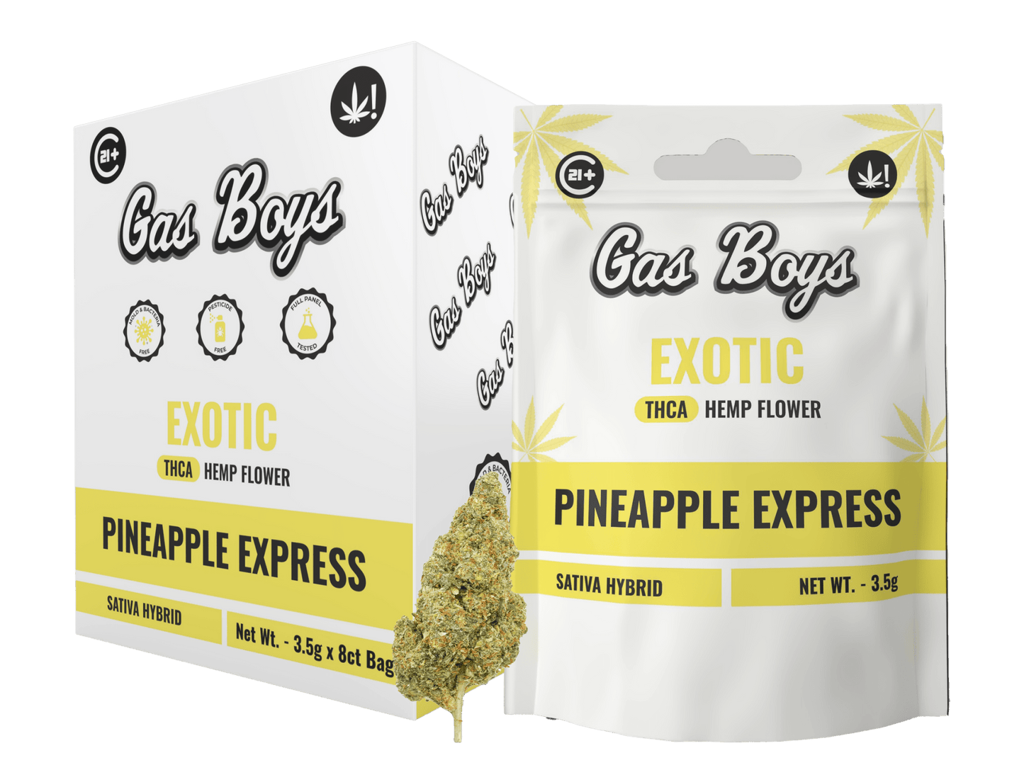 EXOTIC PINEAPPLE EXPRESS THCA FLOWER - Sativa Hybrid (8ct) - Tree Spirit Wellness