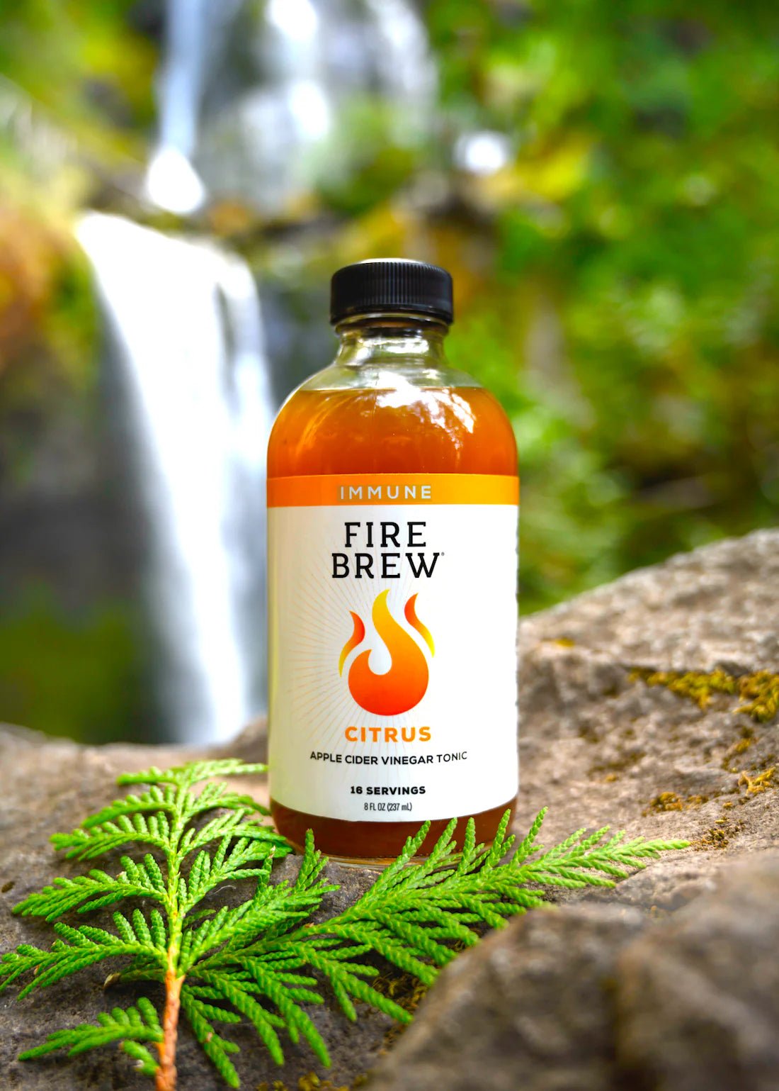 Fire Brew - Immune Citrus Apple Cider Vinegar (Fire Cider) Tonic - Tree Spirit Wellness
