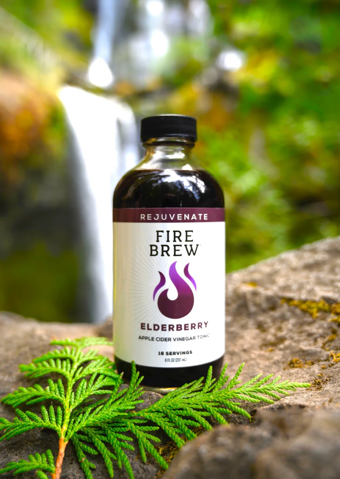Fire Brew - Restore Elderberry Apple Cider Vinegar (Fire Cider) Tonic - Tree Spirit Wellness