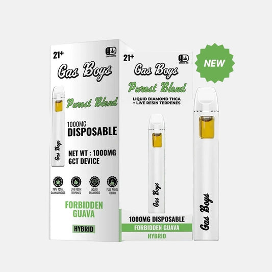 FORBIDDEN GUAVA THCA Disposable Vape 1g Hybrid (6ct) - Tree Spirit Wellness