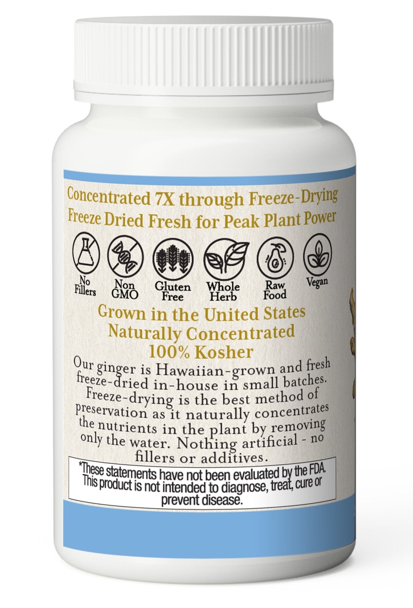 GINGER CAPSULES - Tree Spirit Wellness