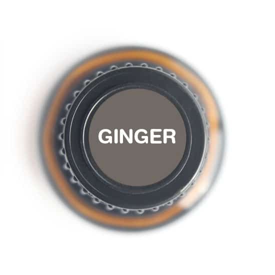 Ginger Essential oil - Tree Spirit Wellness