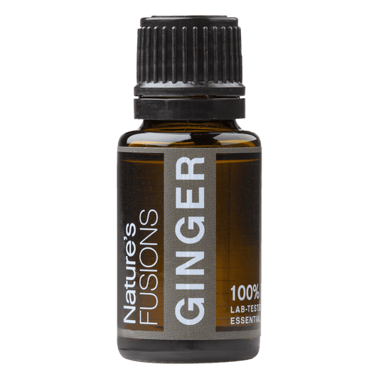 Ginger Essential oil - 15ml - Tree Spirit Wellness