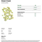 Green Crack BOUTIQUE THCA FLOWER - Sativa (8ct) - Tree Spirit Wellness