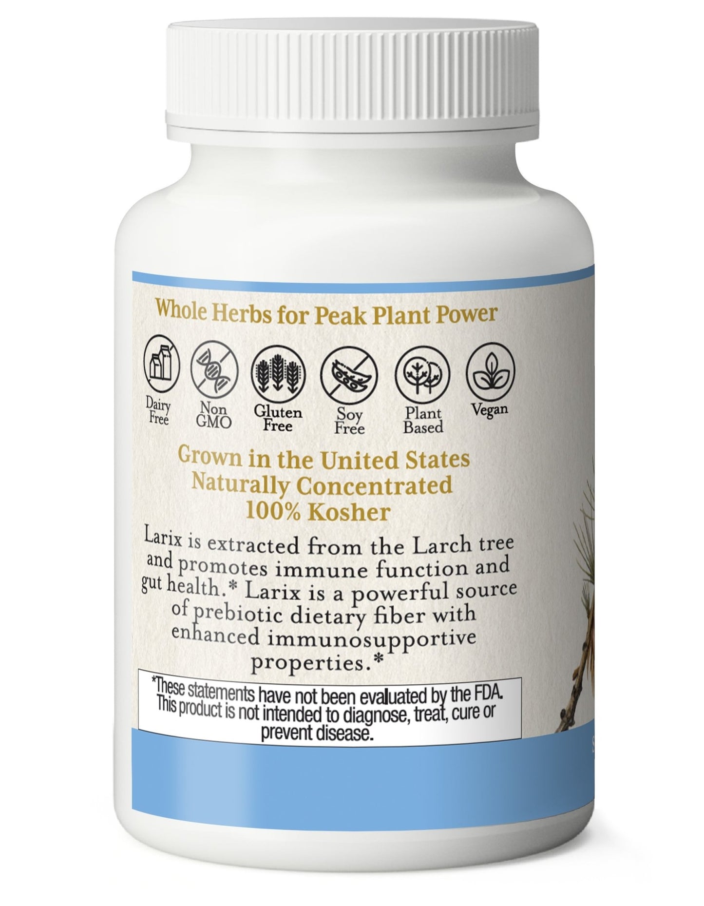 LARIX CAPSULES - Tree Spirit Wellness
