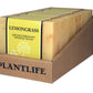 Lemongrass Bar Soap -  box of 6 - Tree Spirit Wellness