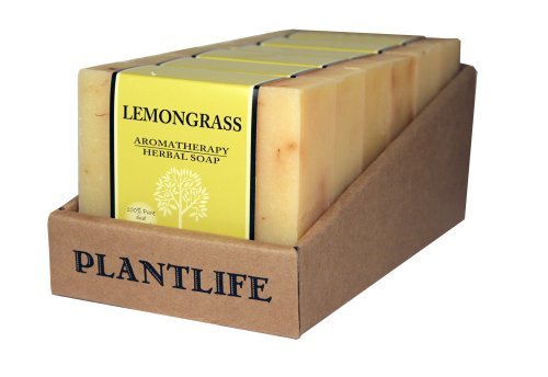 Lemongrass Bar Soap -  box of 6 - Tree Spirit Wellness