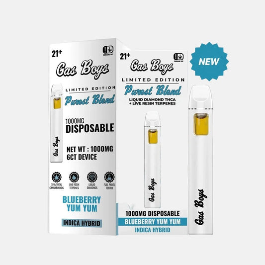 LIMITED EDITION: BLUEBERRY YUM YUM THCA Disposable Vape 1g Indica Hybrid (6ct) - Tree Spirit Wellness