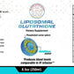 Liposomal Glutathione (Phospholipid Liposome - Encapsulated Glutathione) - Tree Spirit Wellness