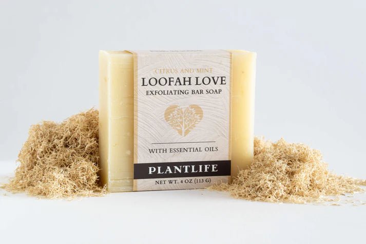 Loofah Love Exfoliating Bar Soap -  box of 6 - Tree Spirit Wellness