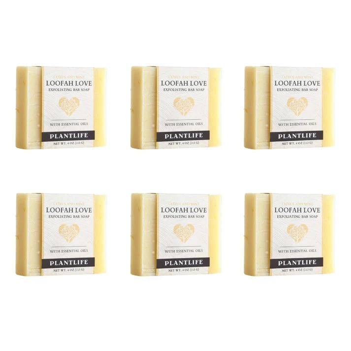 Loofah Love Exfoliating Bar Soap -  box of 6 - Tree Spirit Wellness