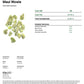 MAUI WOWIE BOUTIQUE THCA FLOWER - Sativa (8ct) - Tree Spirit Wellness
