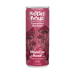 Melting forest - Mushroom Mocktails - 24 Pack - Tree Spirit Wellness
