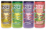 Melting forest - Mushroom D-Stress Sparkling Water (Zero Caffeine) - Tree Spirit Wellness