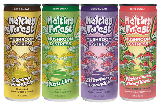 Melting forest - Mushroom Sparkling Water - Tree Spirit Wellness
