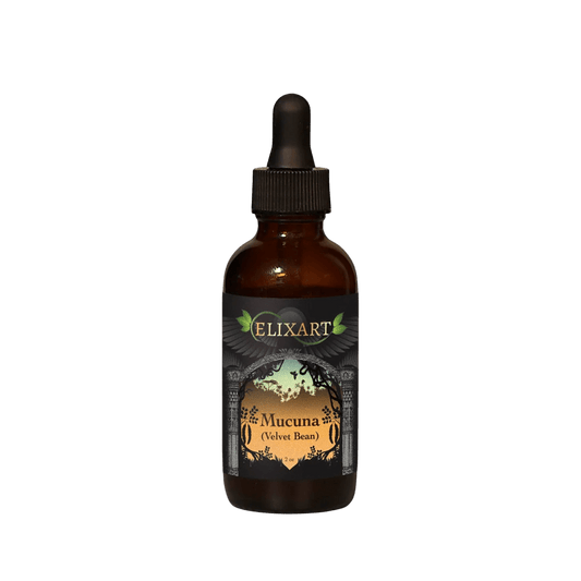 Mucuna - Tree Spirit Wellness