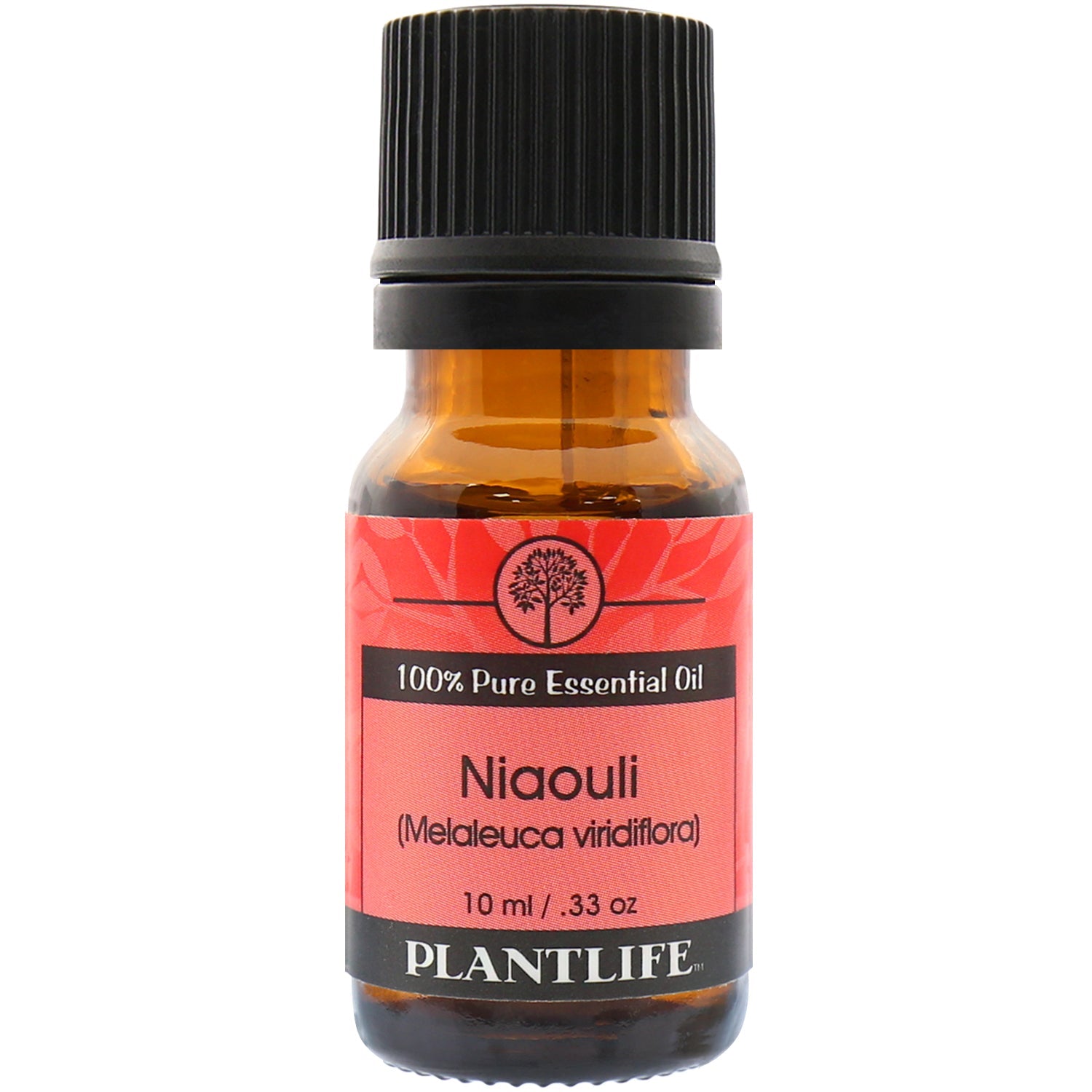 Niaouli Essential Oil - Tree Spirit Wellness
