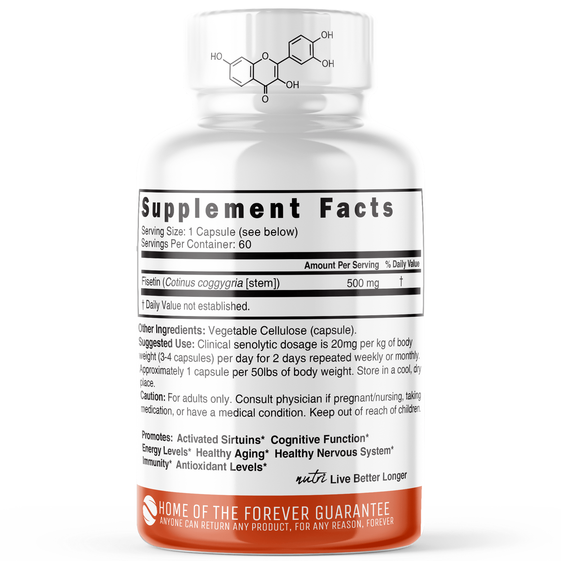 Fisetin 500 mg - 60ct - Tree Spirit Wellness
